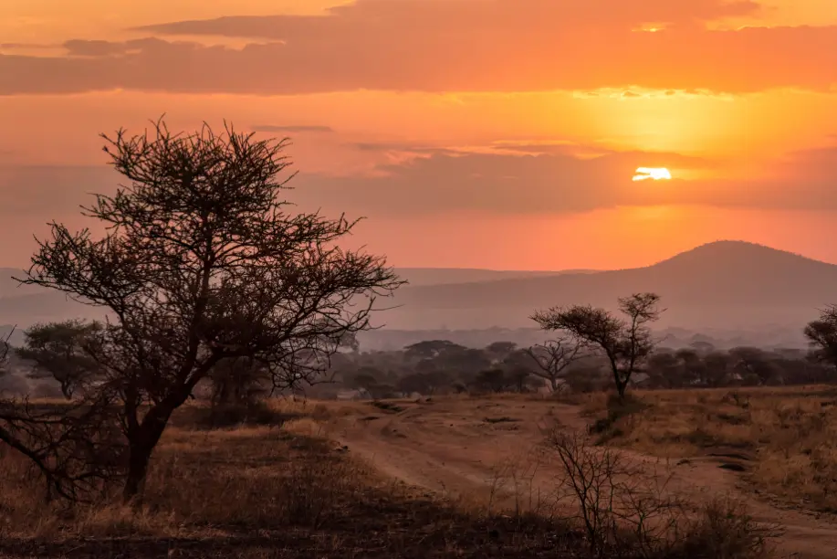 GettyImages-2187481013-africa