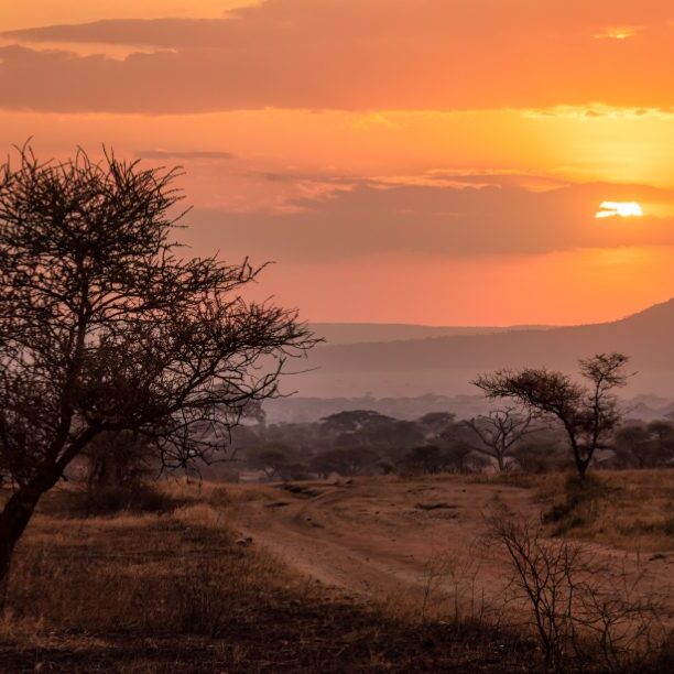 GettyImages-2187481013-africa