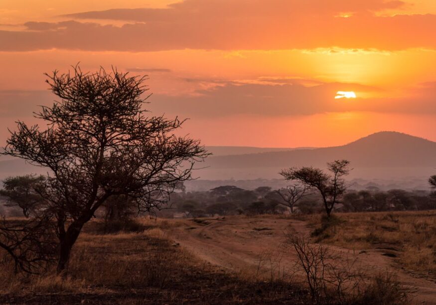 GettyImages-2187481013-africa